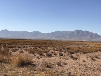 000 Marana Rd, Deming, NM 88030 - photo 3