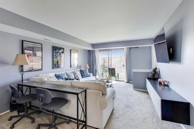 111 W Brandon Ct unit E24, Palatine, IL 60067 - photo 7