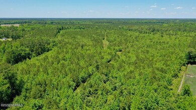 DJI_0303