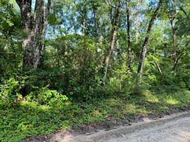 Lot  38 Neeley Rd, Crawfordville, FL 32327 - photo 2