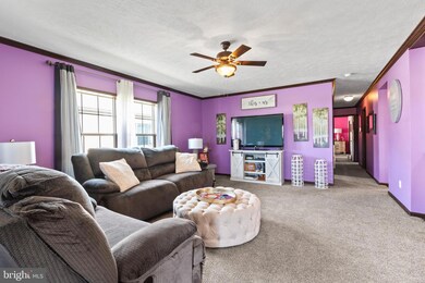 37 Emily Ln, New Holland, PA 17557 - photo 6