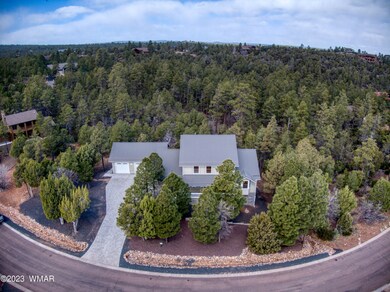 2220 S Pleasant View Dr unit 10, Show Low, AZ 85901 - photo 3