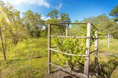 74 Revadee Spears Rd, Crawfordville, FL 32327 - photo 5