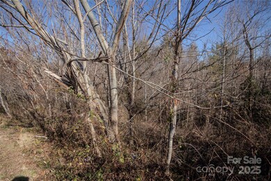 708 Chatsworth Cir unit 3, Lenoir, NC 28645 - photo 3