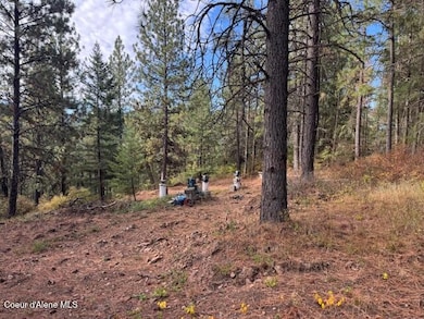NKA Rd, Tensed, ID 83870 - photo 2