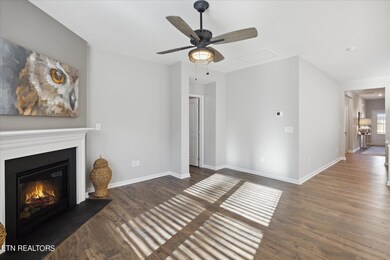 516 Hayley Marie Ln, Knoxville, TN 37920 - photo 4