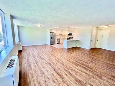 Hammond Park Condominiums unit 501, Chestnut Hill, MA 02467 - photo 3