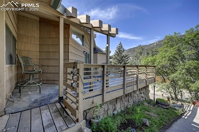 4665 Fox Rd, Cascade, CO 80809 - photo 6