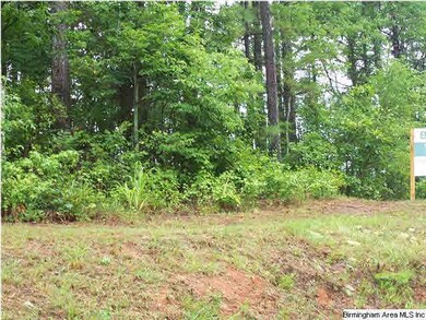 0 Hurst Rd unit 9.81 AC 572171, Bremen, GA 30110 - photo 2