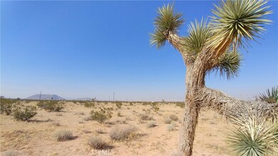 0 Jupiter Dr unit SW17239213, Joshua Tree, CA 92252 - photo 4