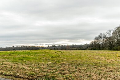 0 Seminary Rd, Manchester, TN 37355 - photo 6