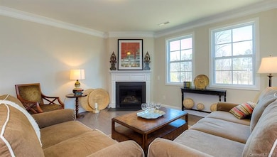 253 Robinwood Rd unit 220, Lake Wylie, SC 29710 - photo 3