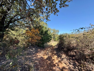 Big Tree Rd, Montague, TX 76251 - photo 6