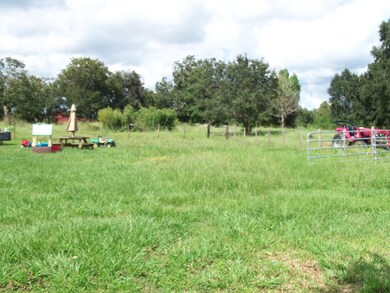 17831 County Road 319, Brazoria, TX 77422 - photo 4