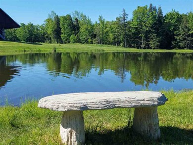 713 Potter Hill Rd, Readsboro, VT 05350 - photo 3