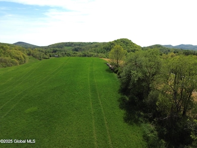 DJI_0305