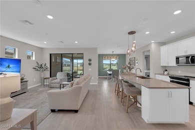 19586 Deming Ln, Estero, FL 33928 - photo 5