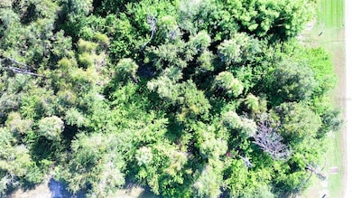 199 Cougar Way, Rotonda West, FL 33947 - photo 2