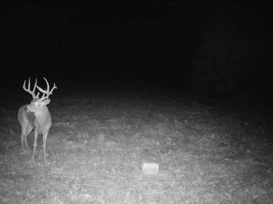 000 C Hwy, Albany, MO 64402 - photo 3