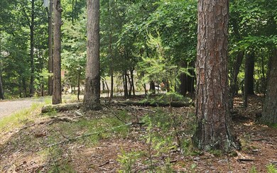 Additional View