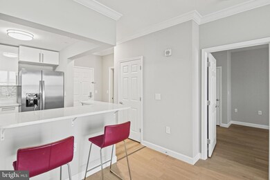 23 Pierside Dr unit 409, Baltimore, MD 21230 - photo 7