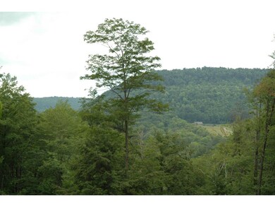 709 Sugar House Hill Rd, Guilford, VT 05301 - photo 2