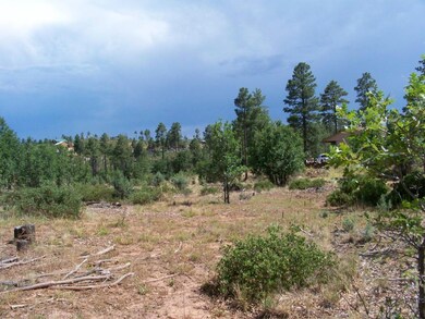 Apache Trail  Homesite?