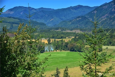 View of the Cowlitz river from Lot 3