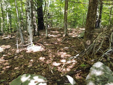 TM 55-2-5 Middle Rd, Center Tuftonboro, NH 03816 - photo 3