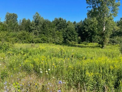 3780 14th St, Wayland, MI 49348 - photo 2