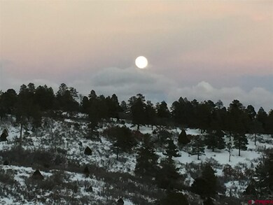 W Durango Ridge Rd, Durango, CO 81301 - photo 3