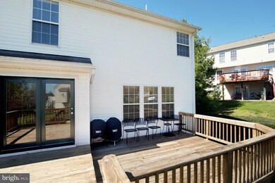 3 New Brunswick Ct, Stafford, VA 22554 - photo 4