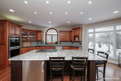 4603 Clearwater Ln, Naperville, IL 60564 - photo 6