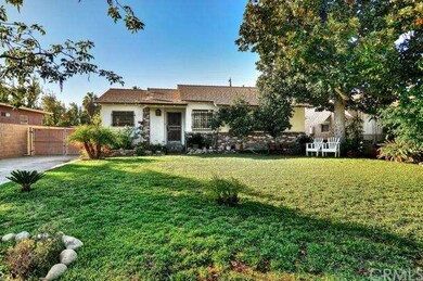 Large Grassy Yard