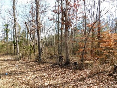 Lot 4 Furnace Rd, Lincolnton, NC 28092 - photo 2