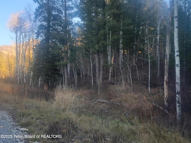 L13B2 Cutthroat Run, Irwin, ID 83428 - photo 2