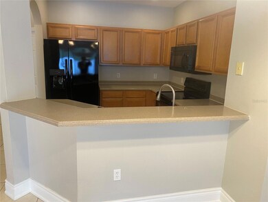 20406 Needletree Dr unit 20406, Tampa, FL 33647 - photo 6