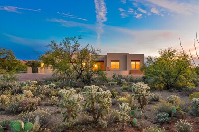 Beautiful Sonoran Desert All Around!