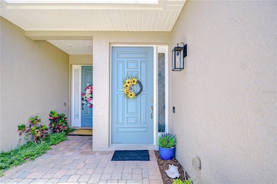 1411 Tessano Place, Palm Harbor, FL 34683 - photo 4