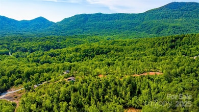 1 Constant Ln, Columbus, NC 28722 - photo 3