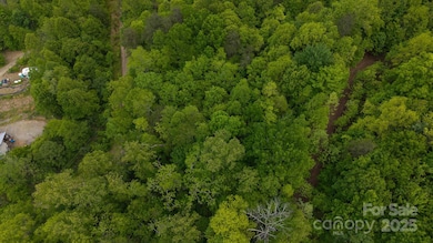 TBD Cove Gap Rd unit multiple lots, Moravian Falls, NC 28654 - photo 7