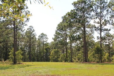 5.8 lot 5 woods end