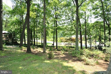 6614 Dearborn Dr, Falls Church, VA 22044 - photo 4