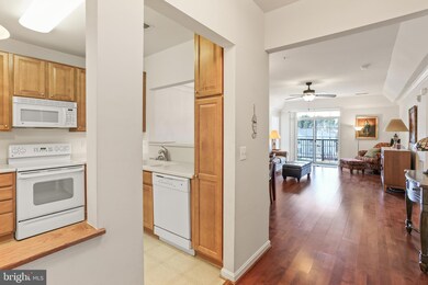 8615 Fluttering Leaf Trail unit 404, Odenton, MD 21113 - photo 4