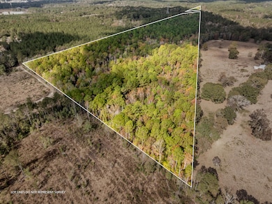 000 Hwy 11, Moselle, MS 39459 - photo 3