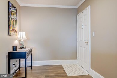 5901 Mount Eagle Dr unit 918, Alexandria, VA 22303 - photo 4