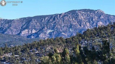TR-82 35th Trail, Cotopaxi, CO 81223 - photo 7