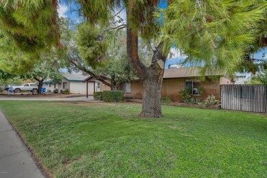 Grassy front lawn
