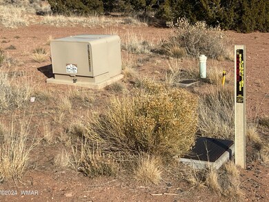 Lot 10 W Arrowhead Rd, Snowflake, AZ 85937 - photo 7