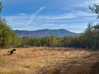 000 Sun Hill Way, Parrottsville, TN 37843 - photo 6